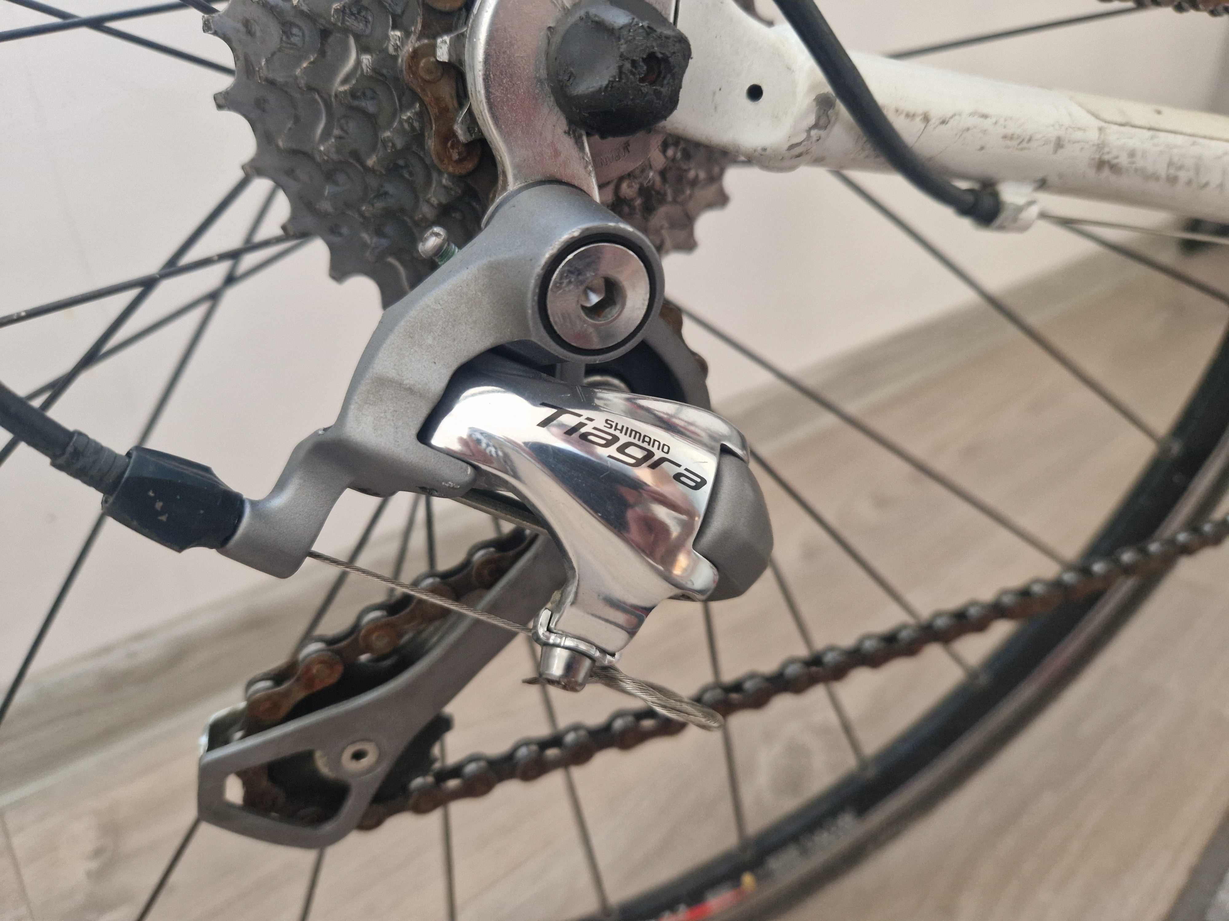 Cursiera trek 28r L