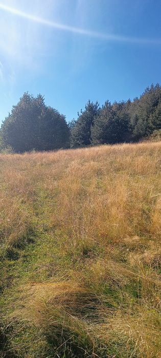 Продава се Земеделски имот в с. Сивино, Област Смолян -  кв.м за 1900 €/дка - Снимка #3