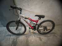 Bicicleta rich mare