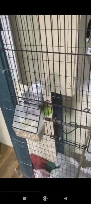 Valer sotiladi narxi 1mln200