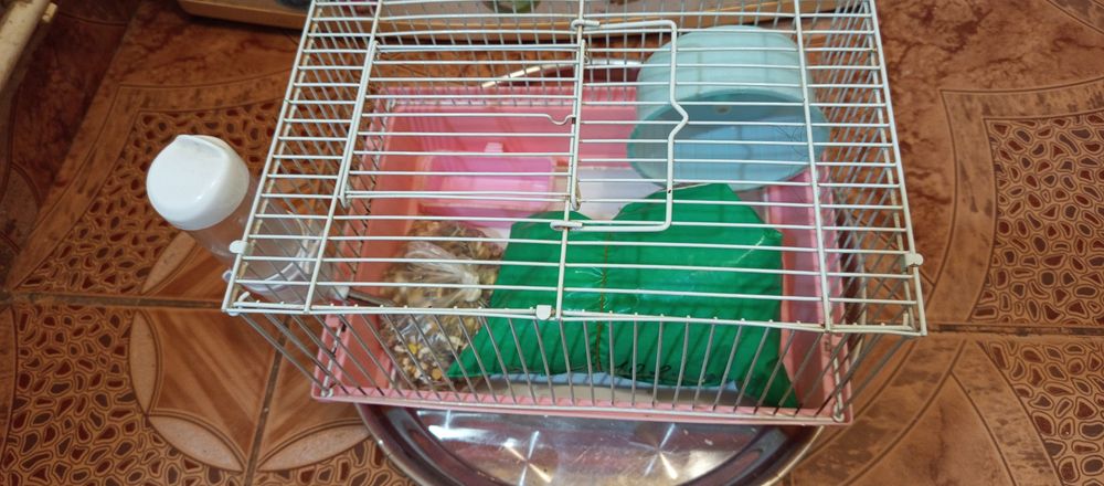 Cușcă hamster/ mâncare/rumeguș