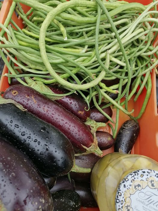 Alimente proaspete cultura Eco