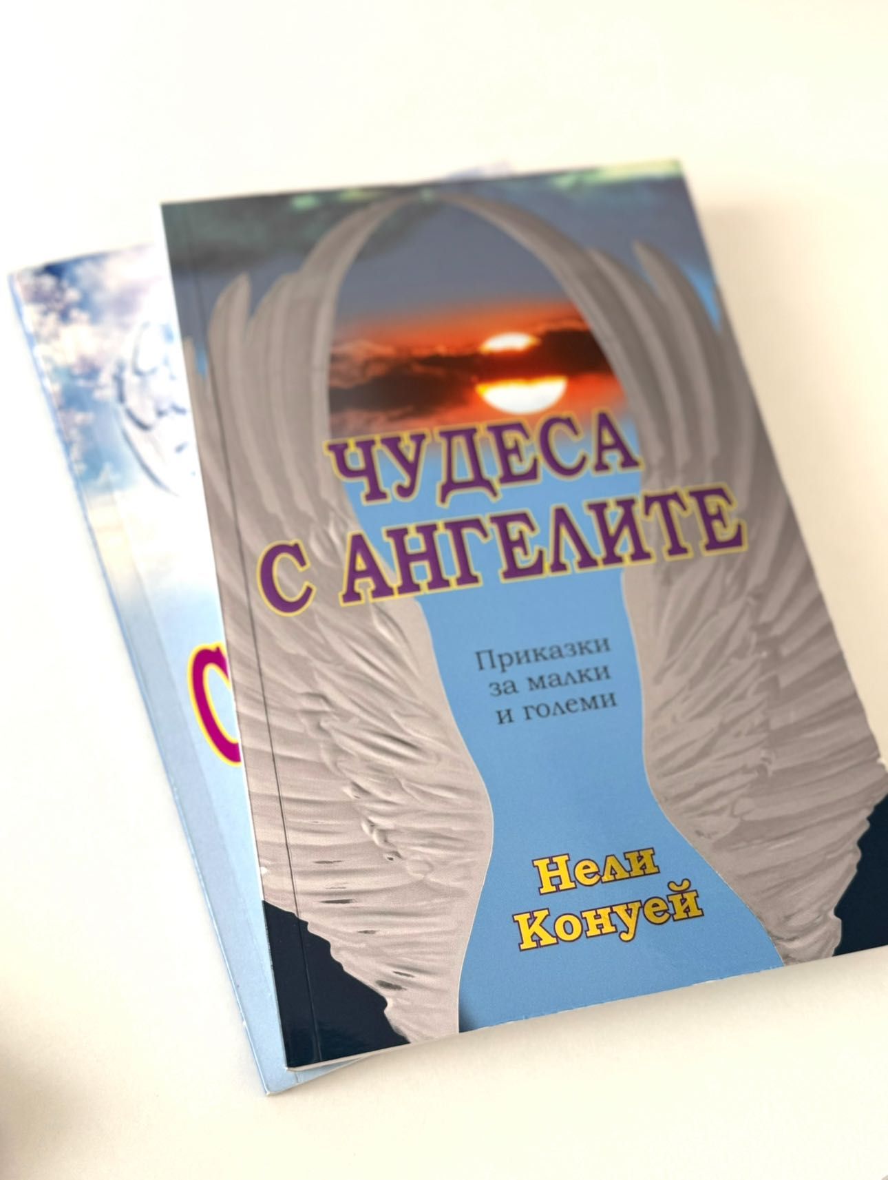 Книги от Нели Конуей