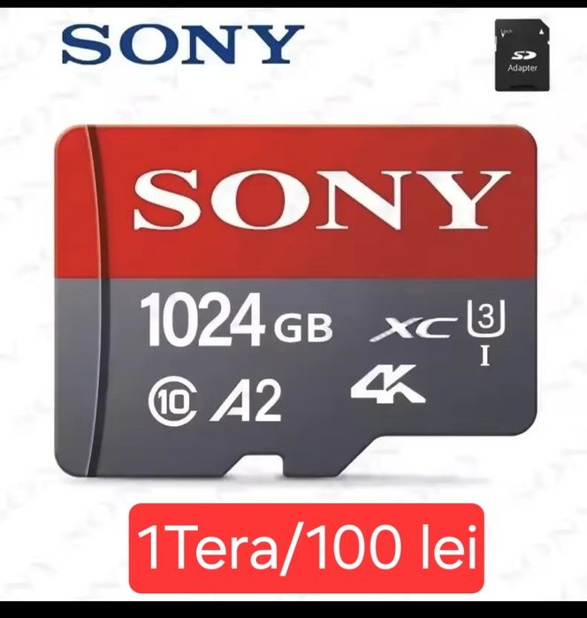MicroSD Sony 1Tera