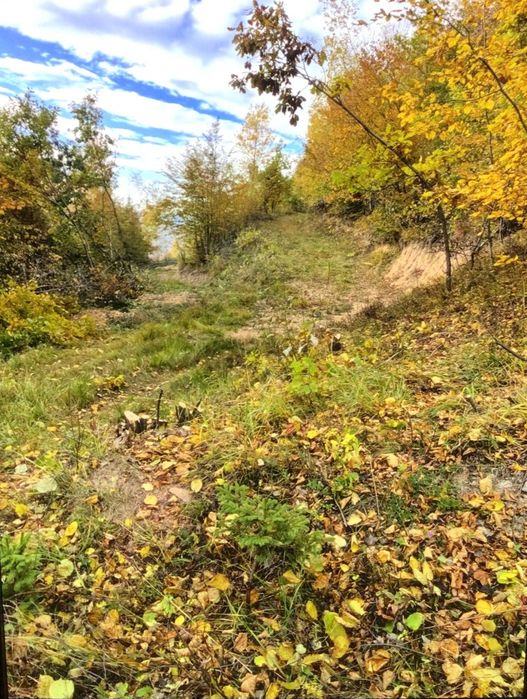 Parcele de vinzare la Muntele Rece, Cluj/schimb cu auto