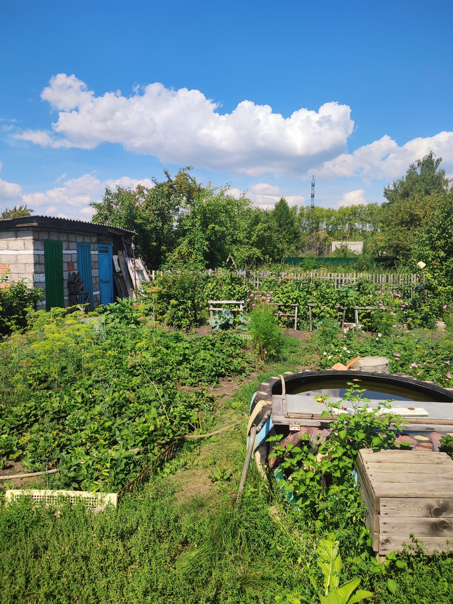 Продам дачу общество "Ракета" НЕ ТОПИТ!