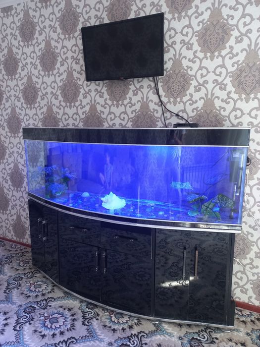 Аквариум сотилади б/у