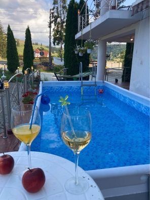 De inchiriat integral vila cabana pensiune cazare l