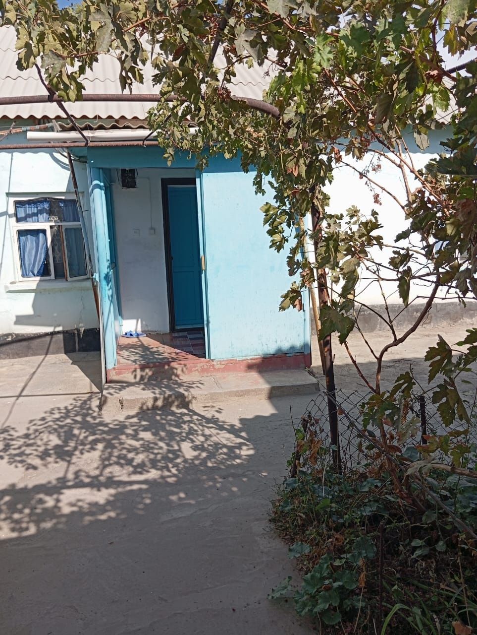Продается дом в шардаре