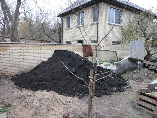 Плодородный горный чернозём
