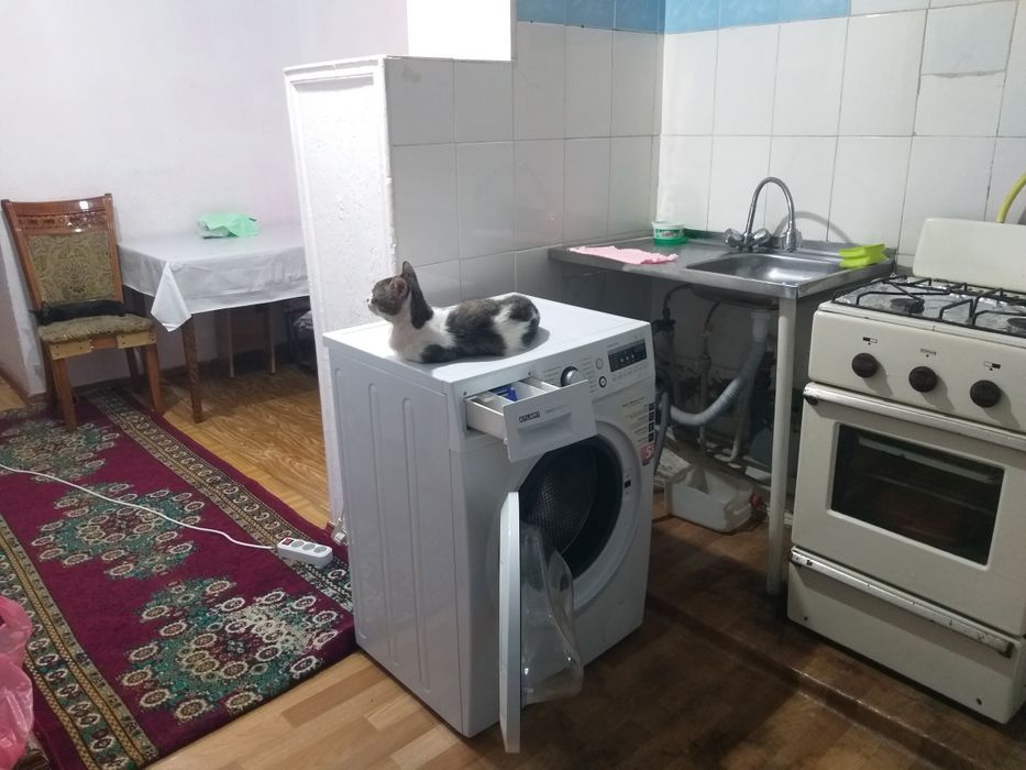 Возьму 1 девушку в квартиру