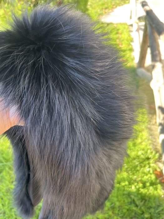 Промоция !Яке гъши пух и яка лисица