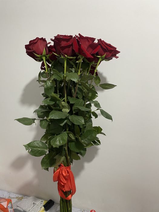 Продаются Метровые розы