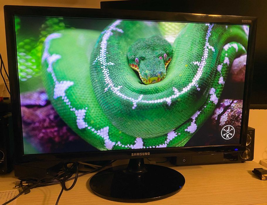 Monitor LED Samsung S22D300 22 Inch Full HD VGA HDMI 5 ms