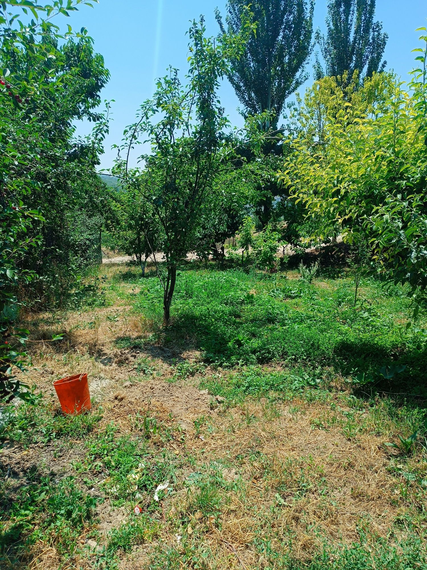 Yer uchastkasi sotiladi