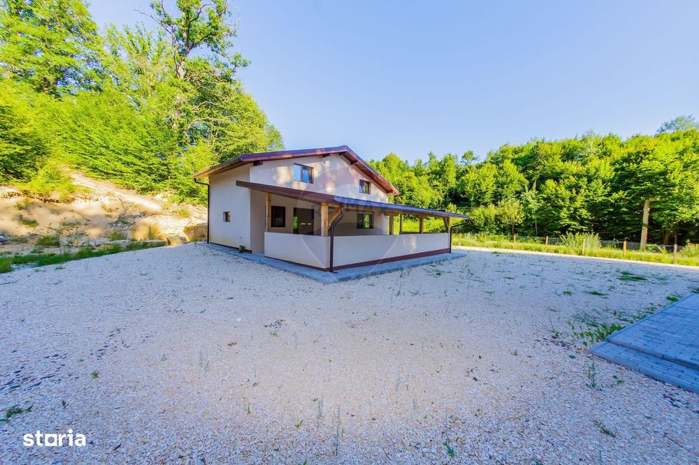 Afacere, Pensiune cu 9 camere de vânzare