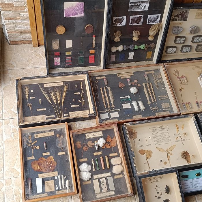 Учебни модели по Биология и география в дървена рамка със стъкло