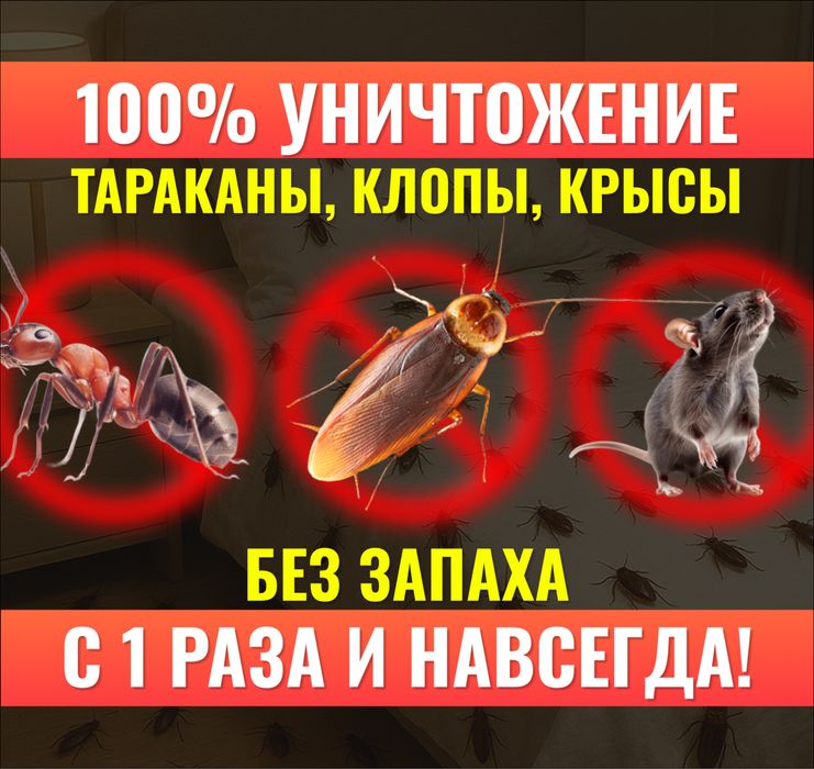 Дизинфекиця, Дезинфекция, БЕЗ ЗАПАХА ШЫМКЕНТ, клапов, тараканы