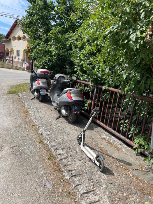 Vand 2 scutere Honda Phanteon