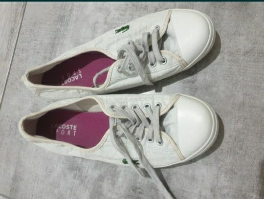 Tenesi 100% originali Lacoste albi 37