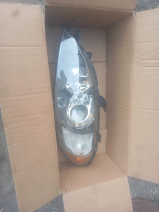 Gentra amerikanka optra