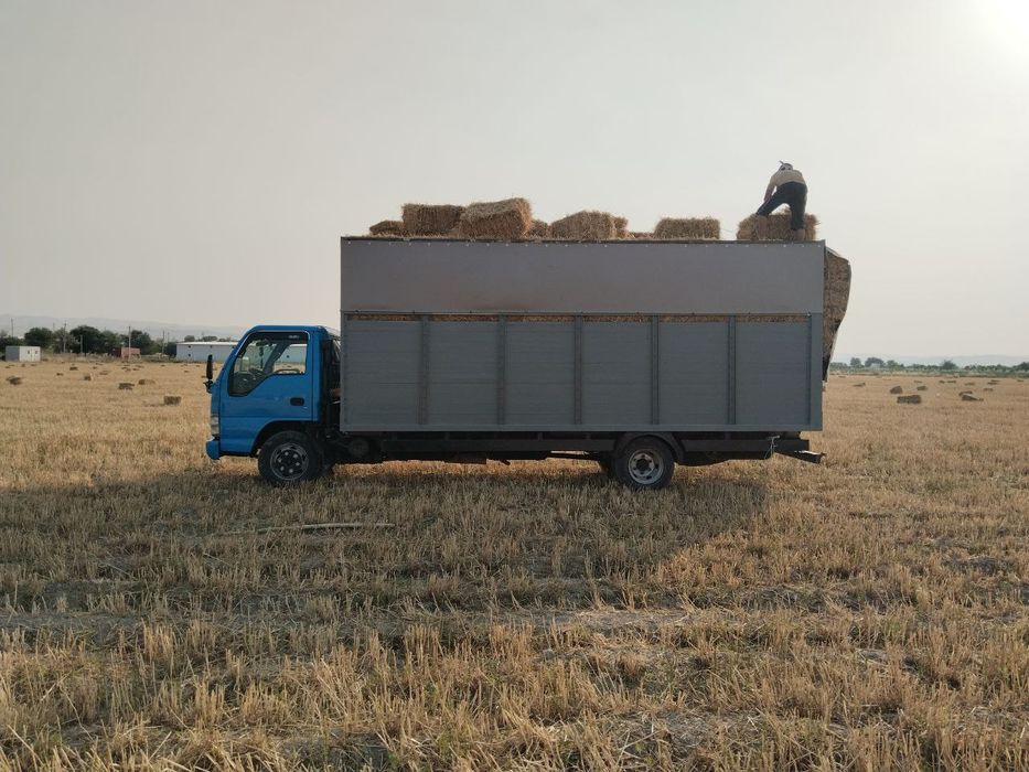 Isuzu sotiladi 2007 yil 20 ming