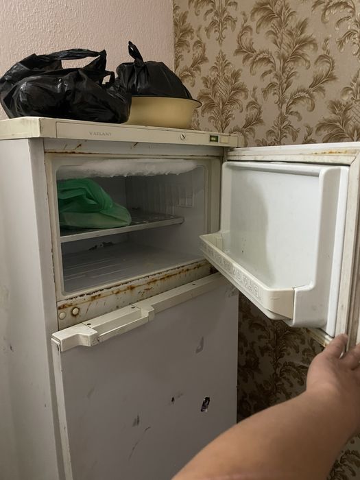 халоделник харошем састаяня