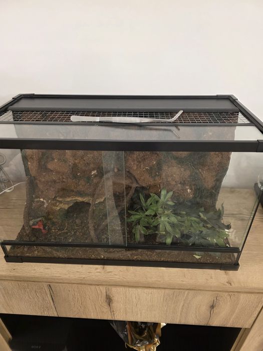 Terariu  pentru reptile