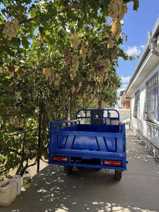 Demansh Muravey 200 motor zavodskoy Cho'nkarak yangidek