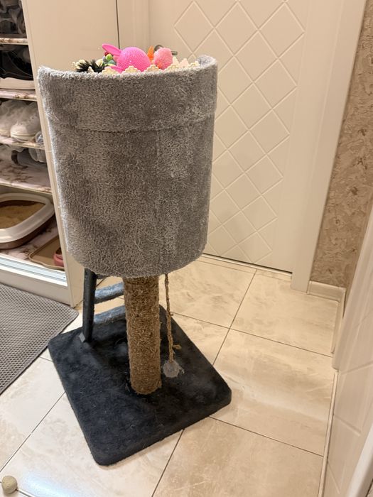 Дома для кошка 300.000