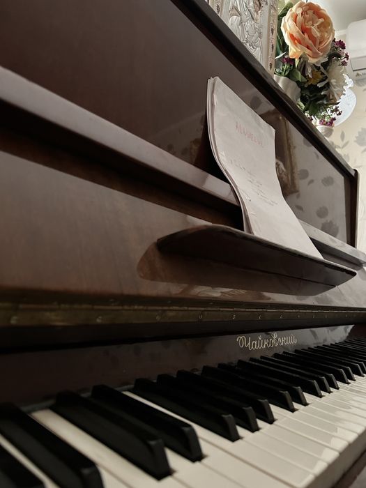 Lectii pian/teorie muzicala