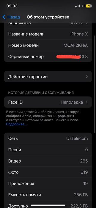IPhone X 256gb 100%