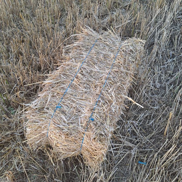 Vând baloți din paie de ovăz și grâu producție 2025