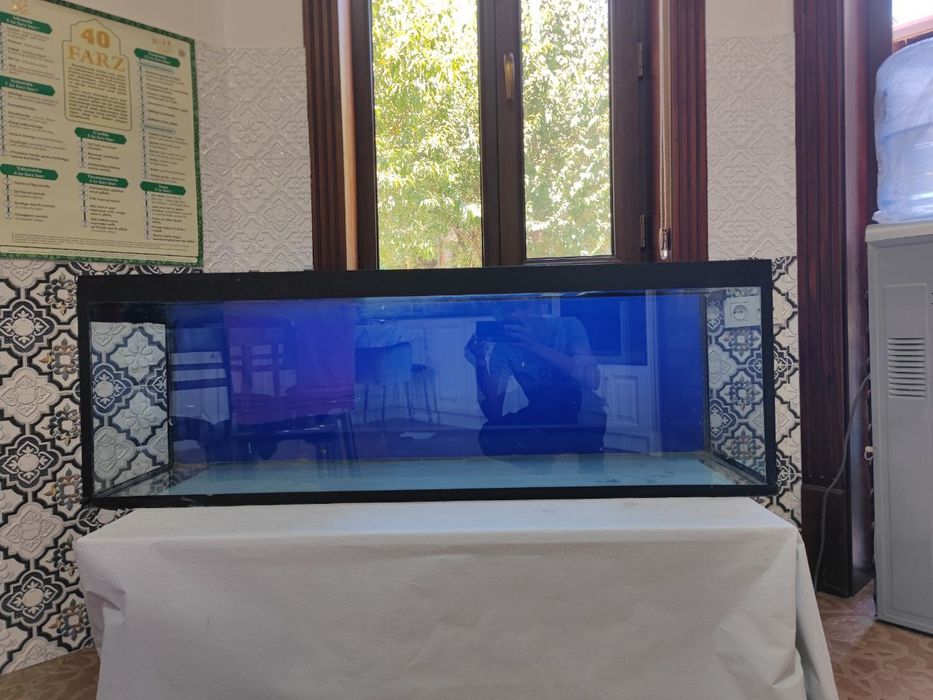 Akvarium 165L xolati yaxshi toliq malunot lich