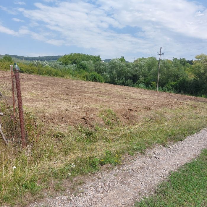 Teren de vanzare Livezeni