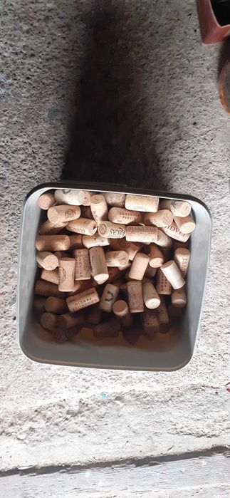 Măsuță tv cu roți,Atlas și manual cu 6 cd uri învățat limba engleză