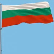 Auto Înmatriculare BG