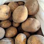 Продам картофель домашний.
