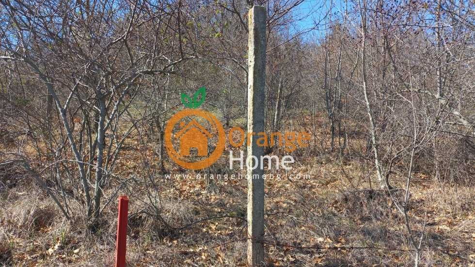 Продава се Парцел в с. Осеново, Област Варна - 1070 кв.м за 18 €/кв.м - Снимка #2