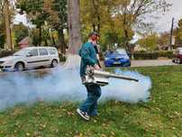 Servicii dezinsectie dezinfectie deratizare DDD tratament viespi