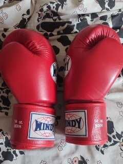 Боксови Ръкавици Windy 14oz