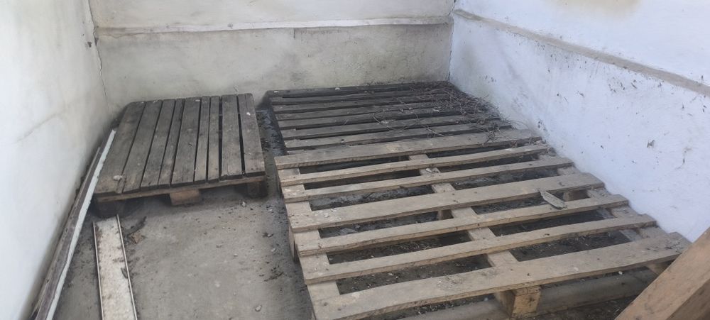 Vand paleti de lemn diferite dimensiuni