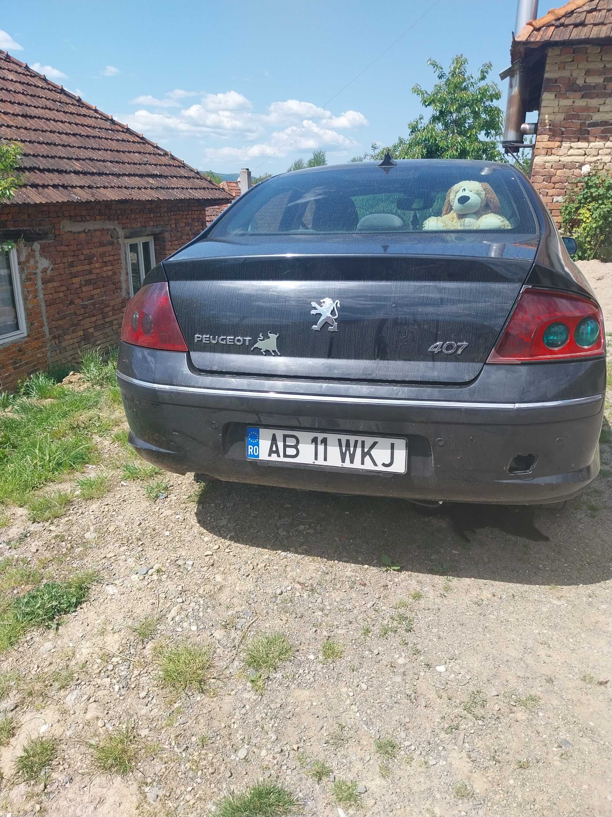 Vand Peugeot 407