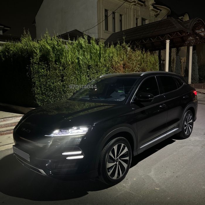 Byd champion 2024 Honor,full chempion,chempion,чемпион,сонг плюс,bivay