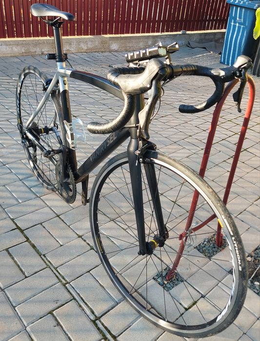 Cursiera mărimea 55 VAN RYESEL