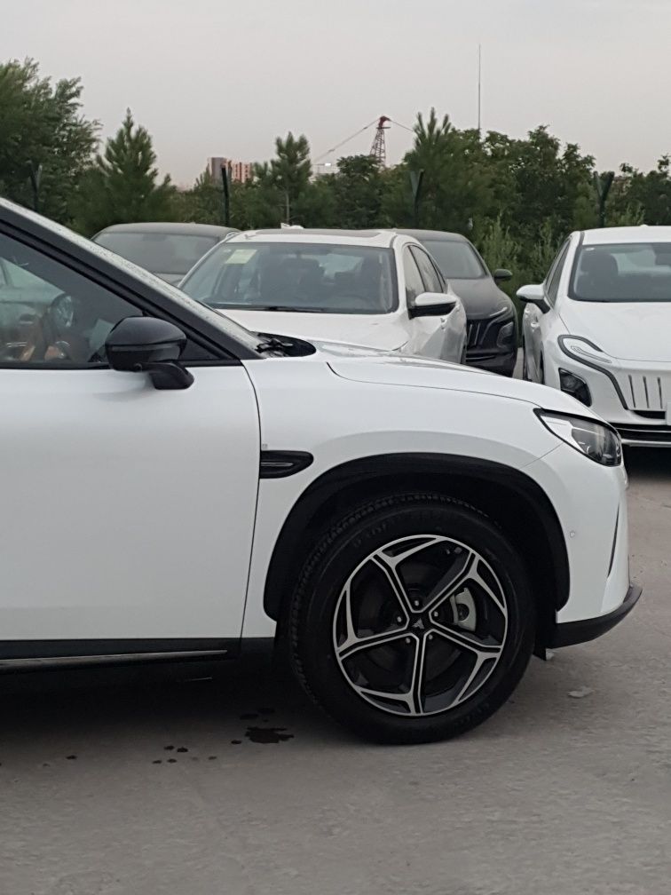 Neta L. Hybrid.2024. RWD.