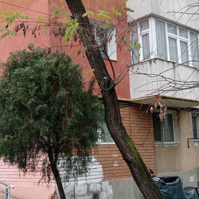 Închiriez apartament 2 cam