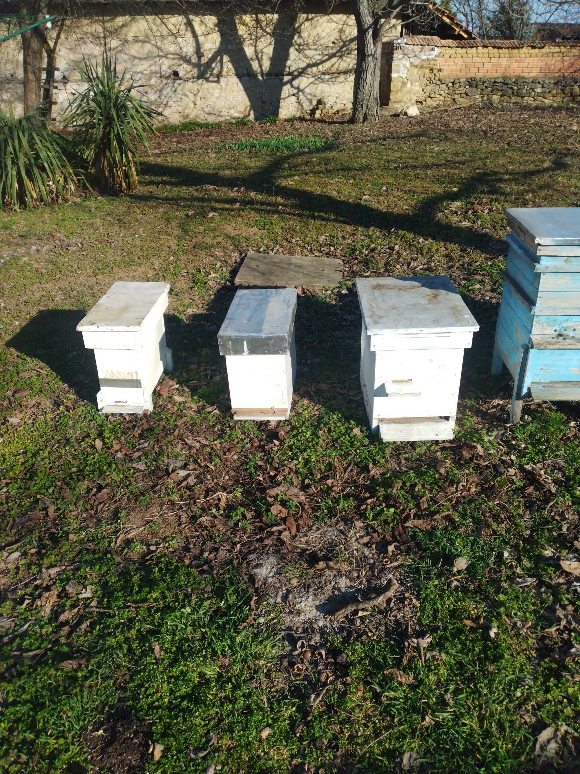 кошери за пчели - ДБ - 5,6 8,10 и 12 рамки