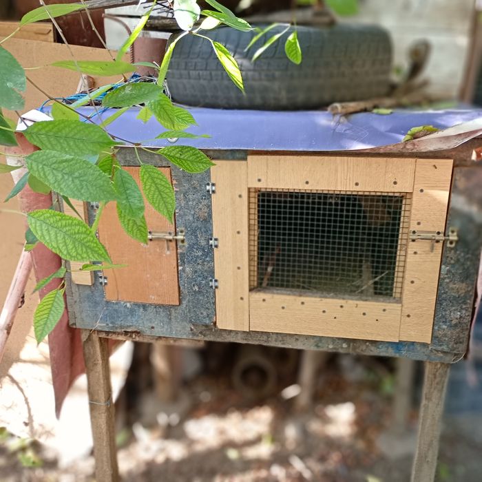 Vând 5 cuști pentru crescut iepuri