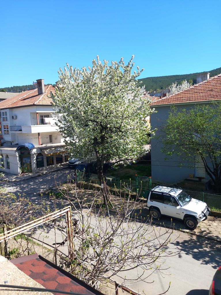 Продава се Етаж от къща в Кюстендил, Запад - 100 кв.м за 670 €/кв.м - Снимка #1